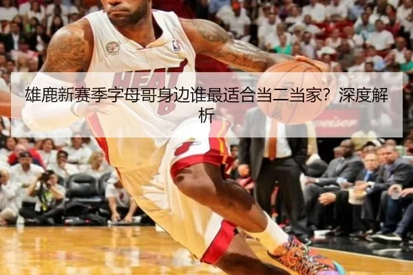 雄鹿新赛季字母哥身边谁最适合当二当家？深度解析