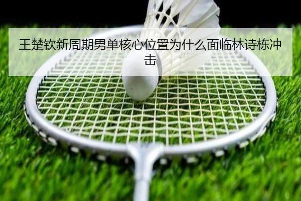 王楚钦新周期男单核心位置为什么面临林诗栋冲击