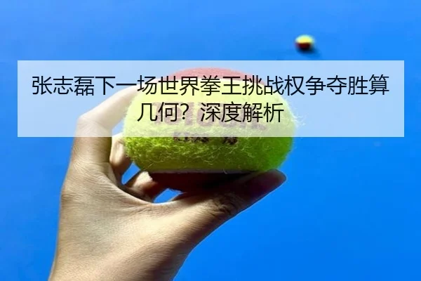 张志磊下一场世界拳王挑战权争夺胜算几何？深度解析