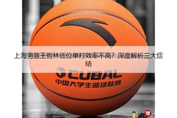 上海男篮王哲林低位单打效率不高？深度解析三大症结